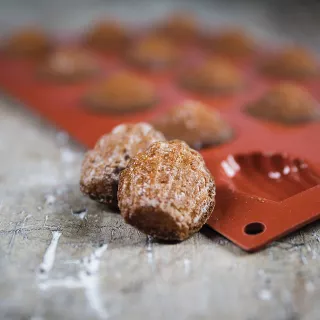 Moule en silicone mini Madeleine
