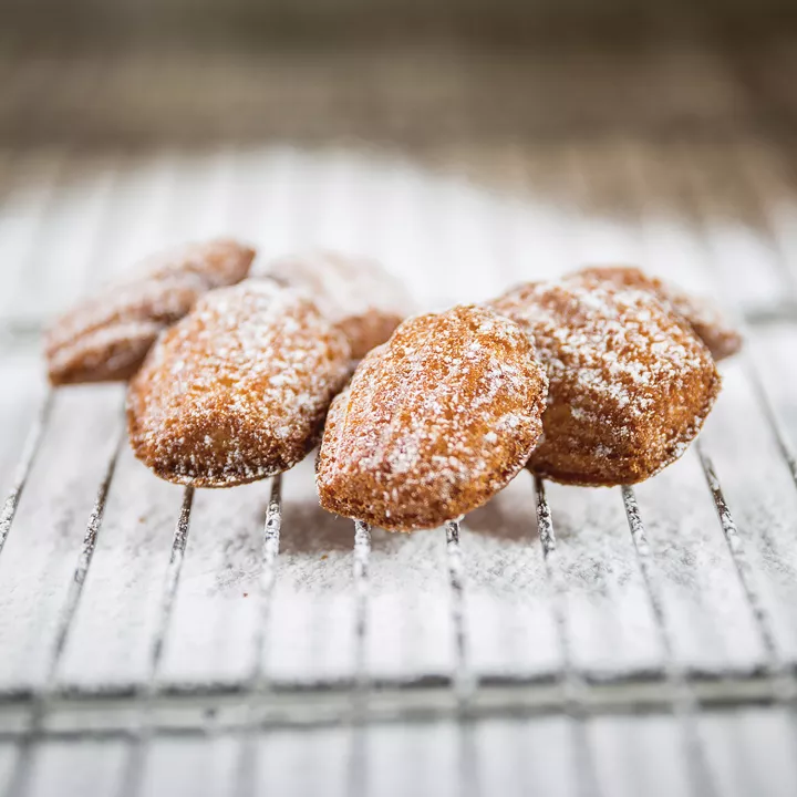Moule en silicone mini Madeleine