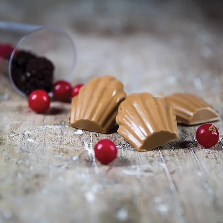 Moule en silicone mini Madeleine