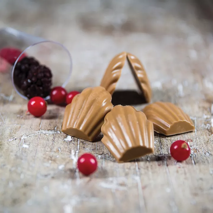 Moule en silicone mini Madeleine