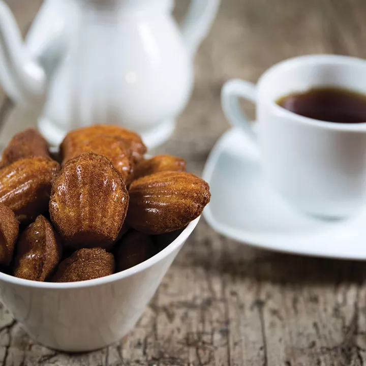 Moule en silicone mini Madeleine