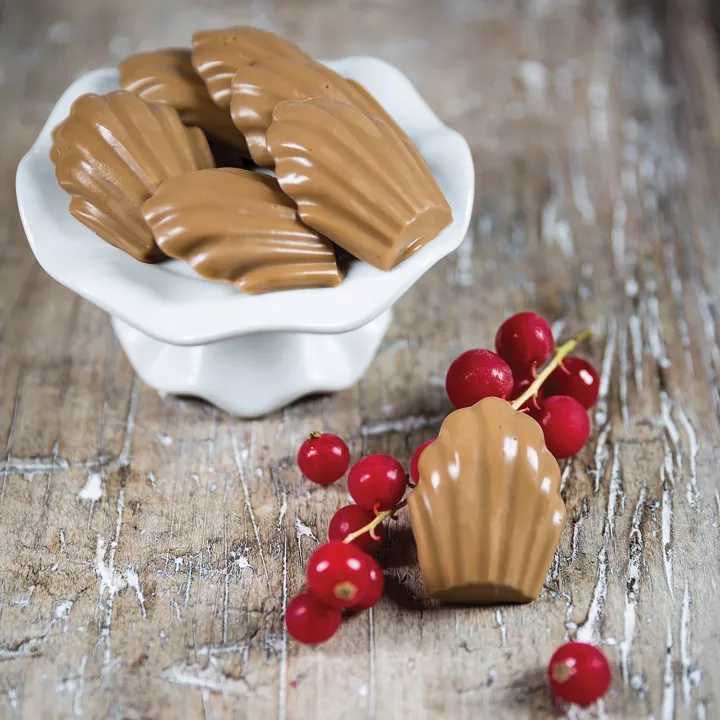 Moule en silicone mini Madeleine