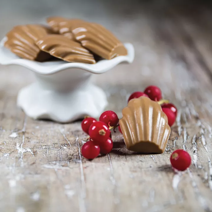 Moule en silicone mini Madeleine