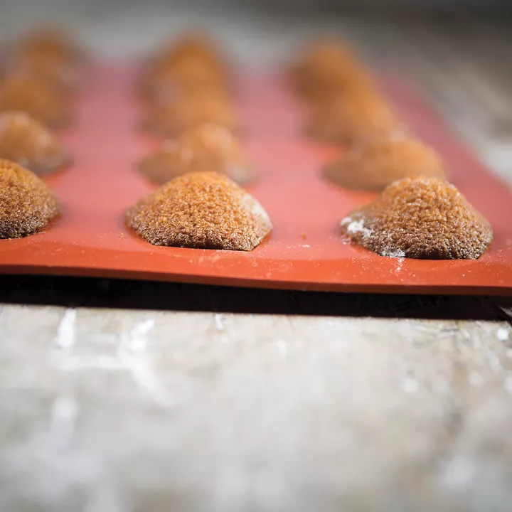 Moule en silicone mini Madeleine