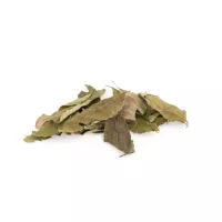 Folha de curry (Kaloupile/caripule)