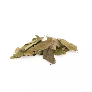 Feuille de curry