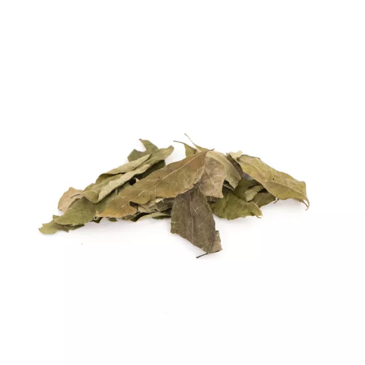 Feuille de curry