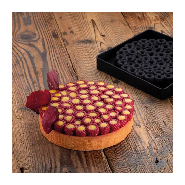 Moule Scarlet décor framboise Pavoni 