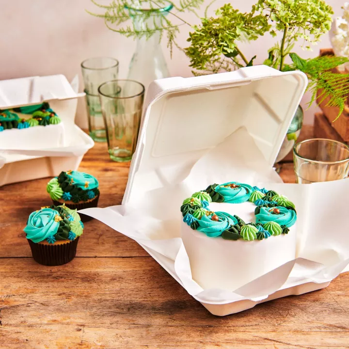 10 Boites à bento cake 15 x 15