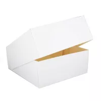 1 scatola per pasticcini bianca da 25 cm