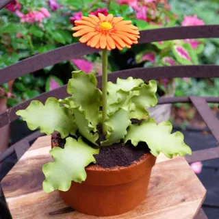 2 Lisseurs à ganache Pot de fleur 10 et 15 cm Evil Cake genius