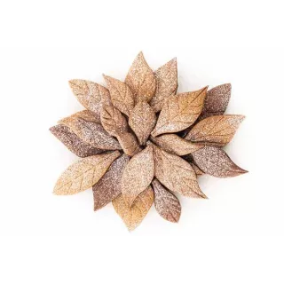 MOULE VOILÀ COOKIE - FEUILLES Silikomart