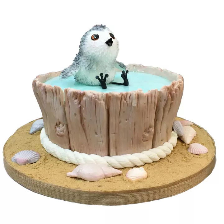 Силиконовая форма для коряг и морских ракушек от Карен.