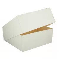 1 Caixa de Pastelaria Branca 29 cm A 13 cm