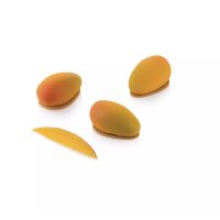 Molde profissional Mango 30 da Silikomart