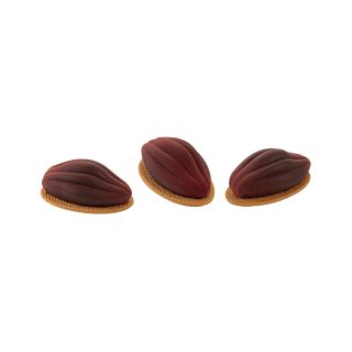 Cabosse Cacao 30 - Moule Silikomart Professionnel