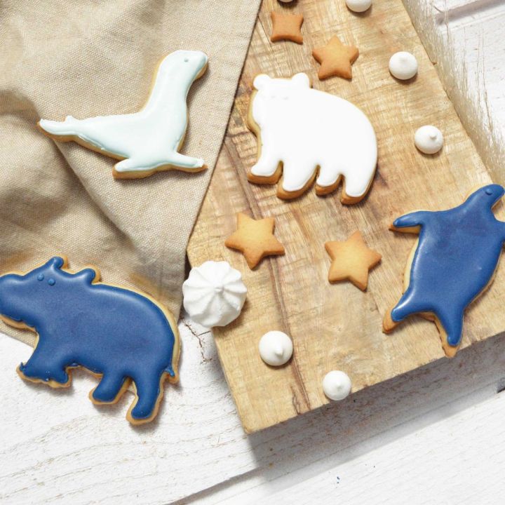 Colorant poudre bleu nuit ScrapCooking®