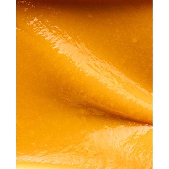 Purée de mangue Caramanfruit