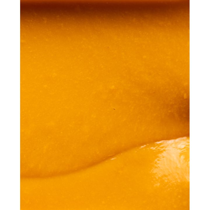 Purée de mangue Caramanfruit