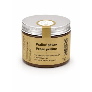 Praliné Pécan 50% Valrhona Paticréa
