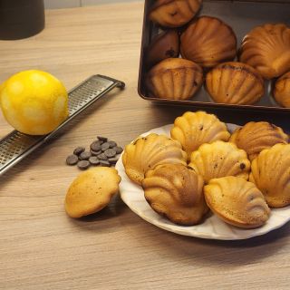 Moule 6 madeleines coquilles