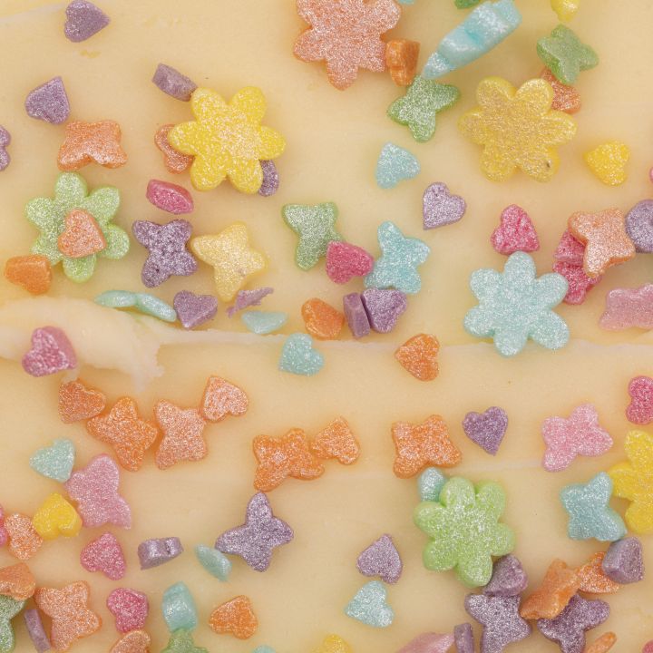 copy of