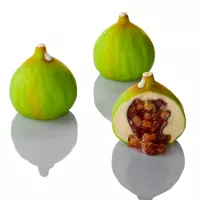 Mejillón de higo Pavoni