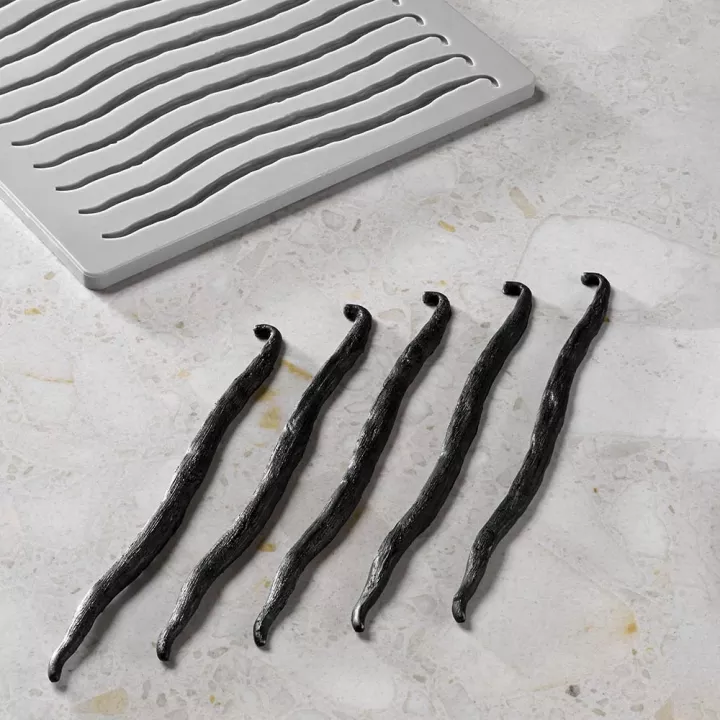 Moule vanille Pavoni en Silicone