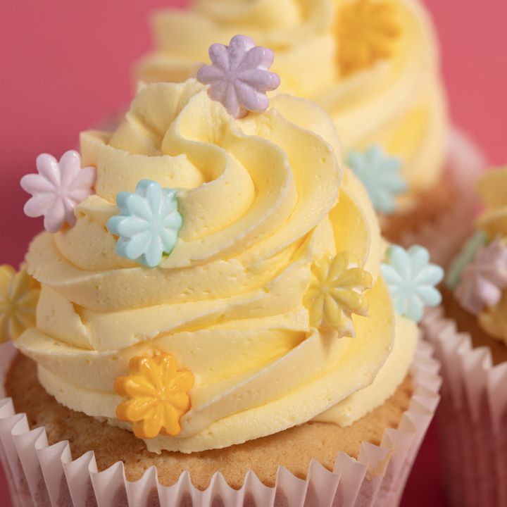 copy ofcopy ofcopy ofcopy ofcopy ofSprinkle Rainbow - SME