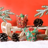 Caissettes tulipes christmas enchanted