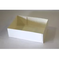 10 Bandejas Retangulares