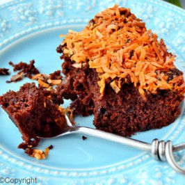 Gâteau chocolat-noisette & noix de coco caramélisée sans gluten